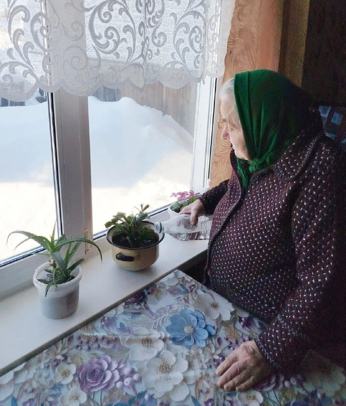 Ухаживаем за комнатными растениями