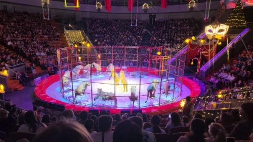 Цирковое представление Маска. Приключение елочных игрушек».